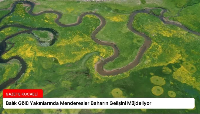 Balık Gölü Yakınlarında Menderesler Baharın Gelişini Müjdeliyor