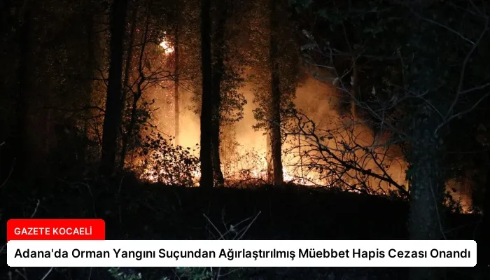 Adana’da Orman Yangını Suçundan Ağırlaştırılmış Müebbet Hapis Cezası Onandı