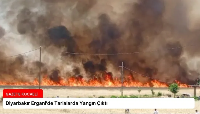Diyarbakır Ergani’de Tarlalarda Yangın Çıktı