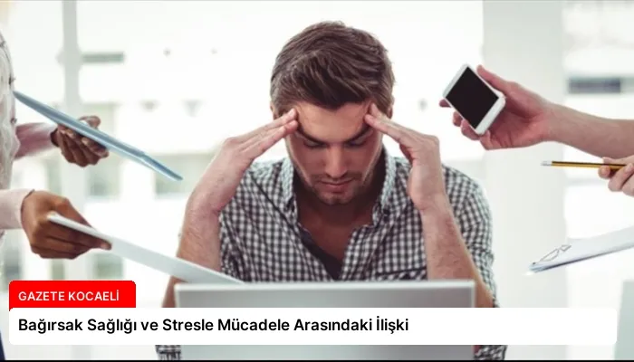 Bağırsak Sağlığı ve Stresle Mücadele Arasındaki İlişki