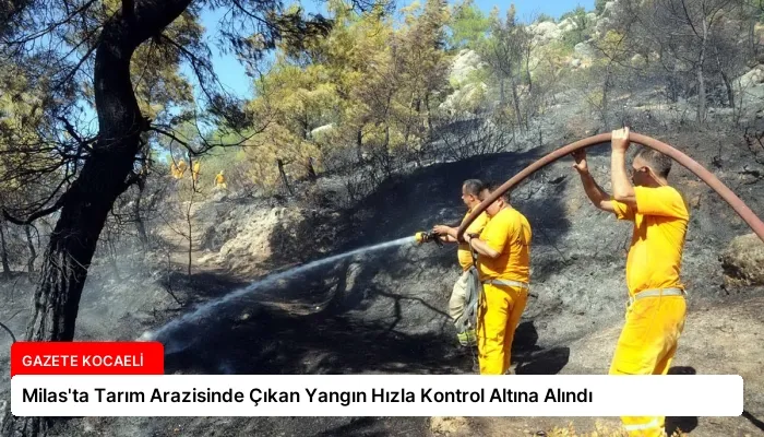 Milas’ta Tarım Arazisinde Çıkan Yangın Hızla Kontrol Altına Alındı