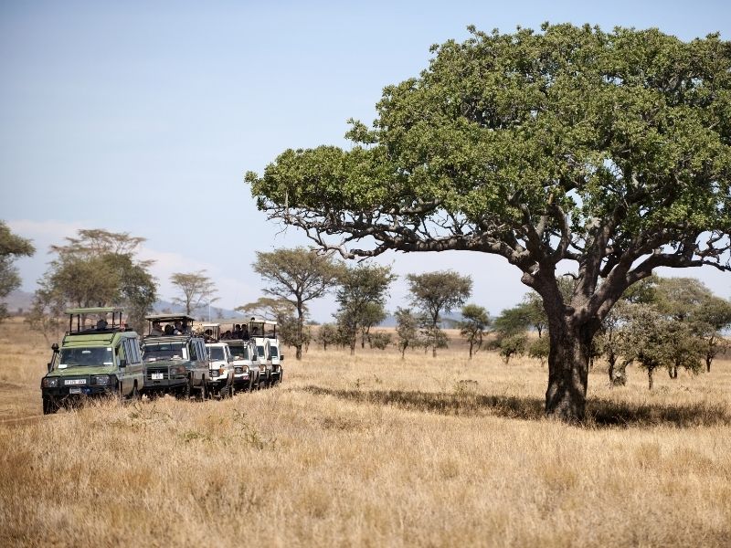 Keşfetmenin Keyfi: Dalaman’dan Kaş’a Yolculuk