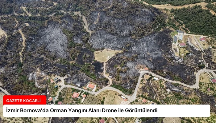 İzmir Bornova’da Orman Yangını Alanı Drone ile Görüntülendi