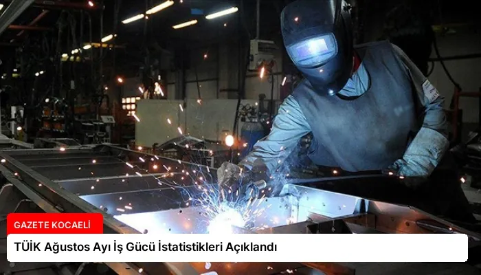 TÜİK Ağustos Ayı İş Gücü İstatistikleri Açıklandı