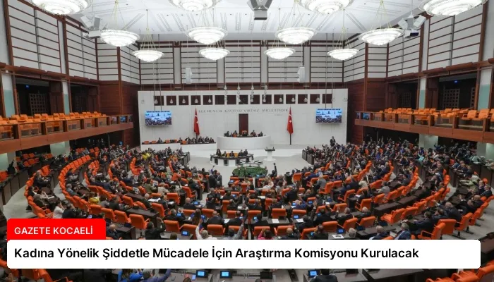 Kadına Yönelik Şiddetle Mücadele İçin Araştırma Komisyonu Kurulacak
