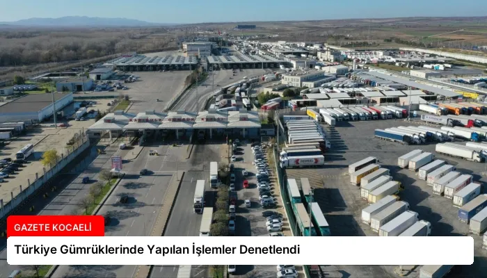 Türkiye Gümrüklerinde Yapılan İşlemler Denetlendi