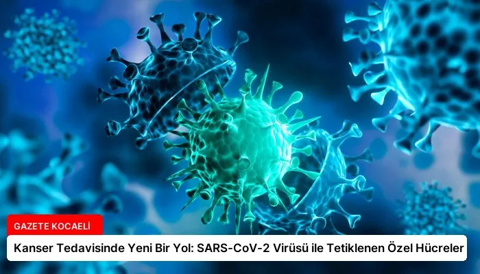 Kanser Tedavisinde Yeni Bir Yol: SARS-CoV-2 Virüsü ile Tetiklenen Özel Hücreler