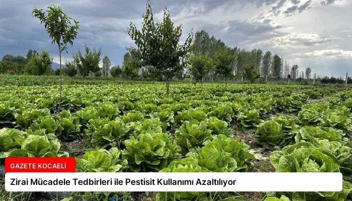 Zirai Mücadele Tedbirleri ile Pestisit Kullanımı Azaltılıyor