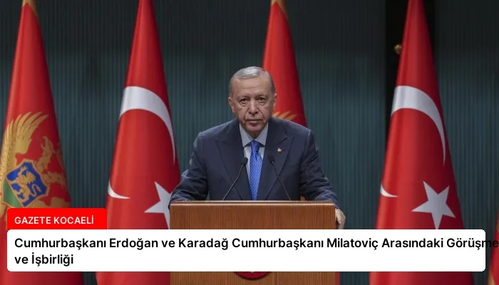 Cumhurbaşkanı Erdoğan ve Karadağ Cumhurbaşkanı Milatoviç Arasındaki Görüşme ve İşbirliği