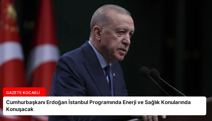 Cumhurbaşkanı Erdoğan İstanbul Programında Enerji ve Sağlık Konularında Konuşacak