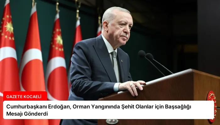 Cumhurbaşkanı Erdoğan, Orman Yangınında Şehit Olanlar için Başsağlığı Mesajı Gönderdi