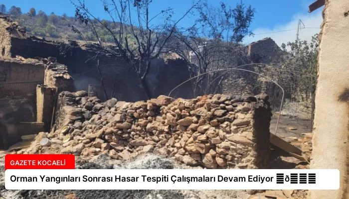 Orman Yangınları Sonrası Hasar Tespiti Çalışmaları Devam Ediyor ⏬👇