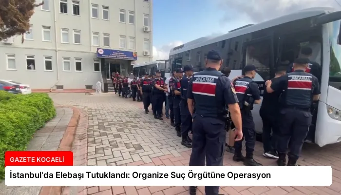 İstanbul’da Elebaşı Tutuklandı: Organize Suç Örgütüne Operasyon