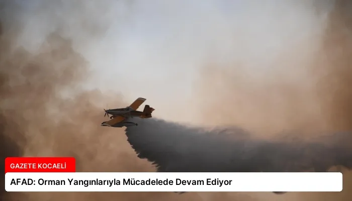 AFAD: Orman Yangınlarıyla Mücadelede Devam Ediyor