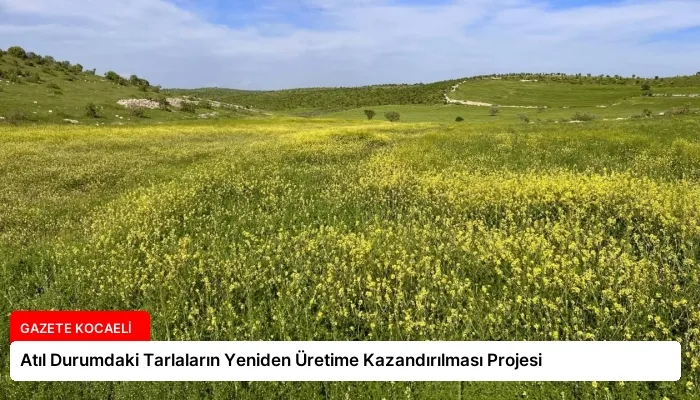 Atıl Durumdaki Tarlaların Yeniden Üretime Kazandırılması Projesi
