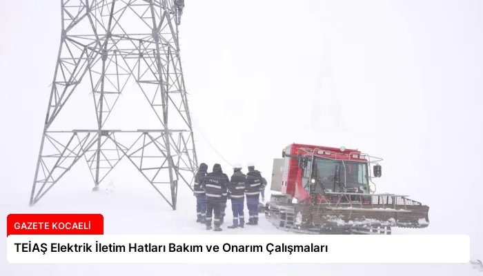 TEİAŞ Elektrik İletim Hatları Bakım ve Onarım Çalışmaları