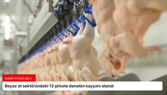 Beyaz et sektöründeki 13 şirkete denetim kayyımı atandı