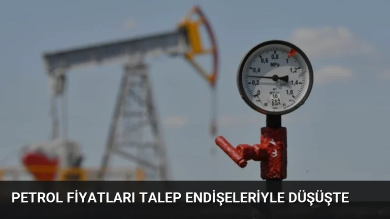Petrol Fiyatları Talep Endişeleriyle Düşüşte