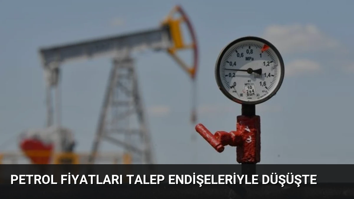 Petrol Fiyatları Talep Endişeleriyle Düşüşte