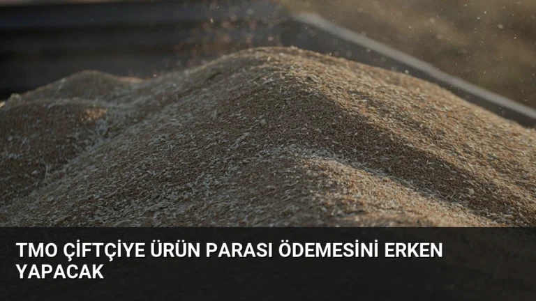 TMO Çiftçiye Ürün Parası Ödemesini Erken Yapacak