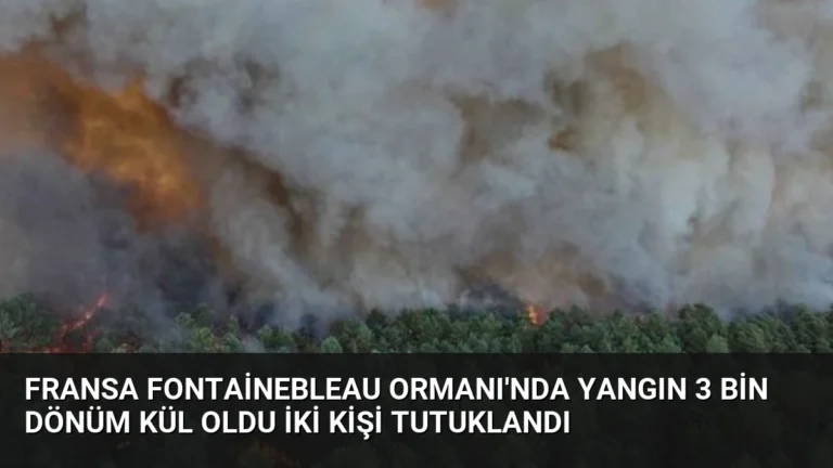 Fransa Fontainebleau Ormanı’nda Yangın 3 Bin Dönüm Kül Oldu İki Kişi Tutuklandı