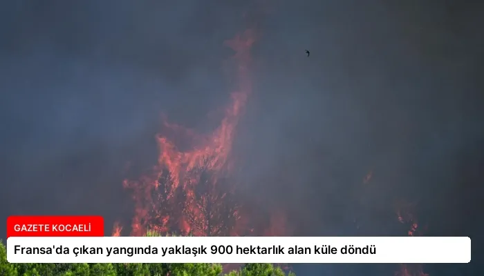 Fransa’da çıkan yangında yaklaşık 900 hektarlık alan küle döndü
