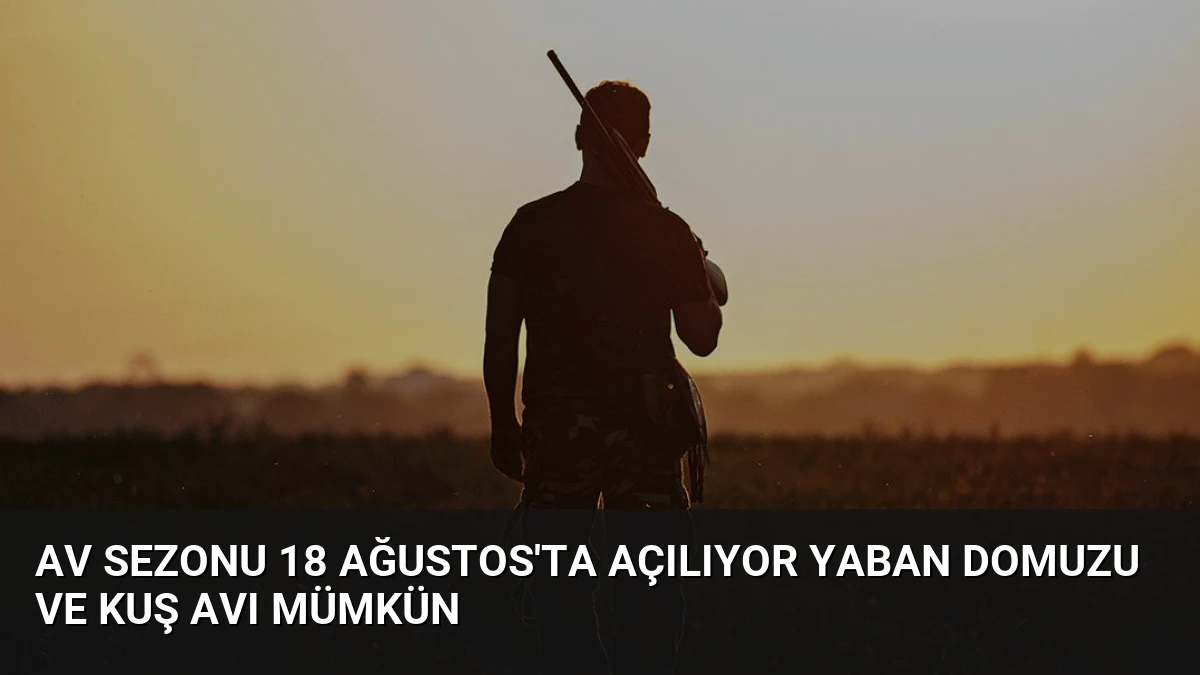 Av Sezonu 18 Ağustos’ta Açılıyor Yaban Domuzu ve Kuş Avı Mümkün