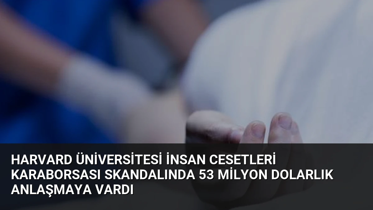 Harvard Üniversitesi İnsan Cesetleri Karaborsası Skandalında 53 Milyon Dolarlık Anlaşmaya Vardı