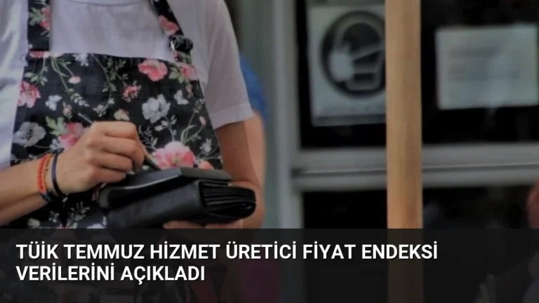 TÜİK Temmuz Hizmet Üretici Fiyat Endeksi Verilerini Açıkladı