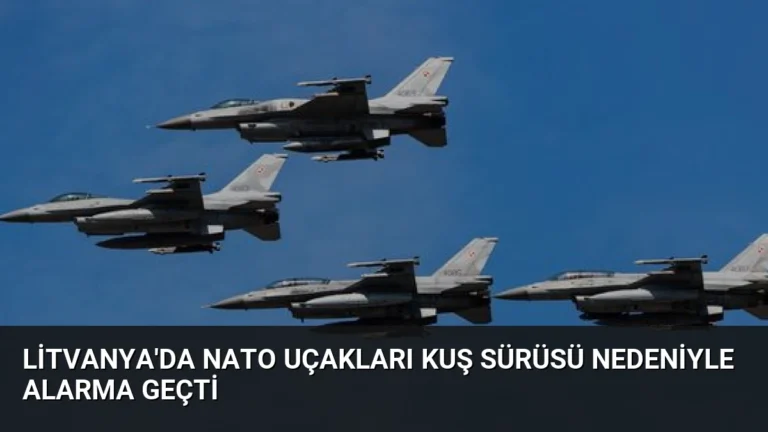 Litvanya’da NATO Uçakları Kuş Sürüsü Nedeniyle Alarma Geçti