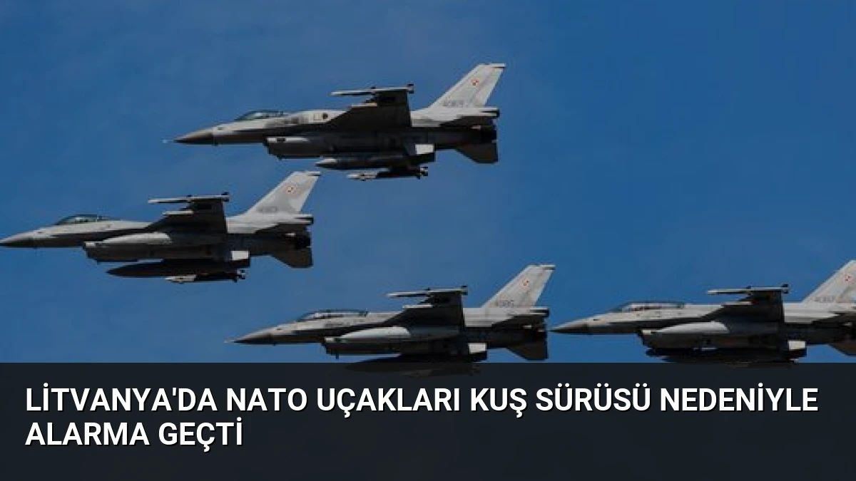 Litvanya’da NATO Uçakları Kuş Sürüsü Nedeniyle Alarma Geçti
