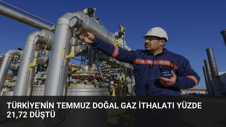 Türkiye’nin Temmuz Doğal Gaz İthalatı Yüzde 21,72 Düştü