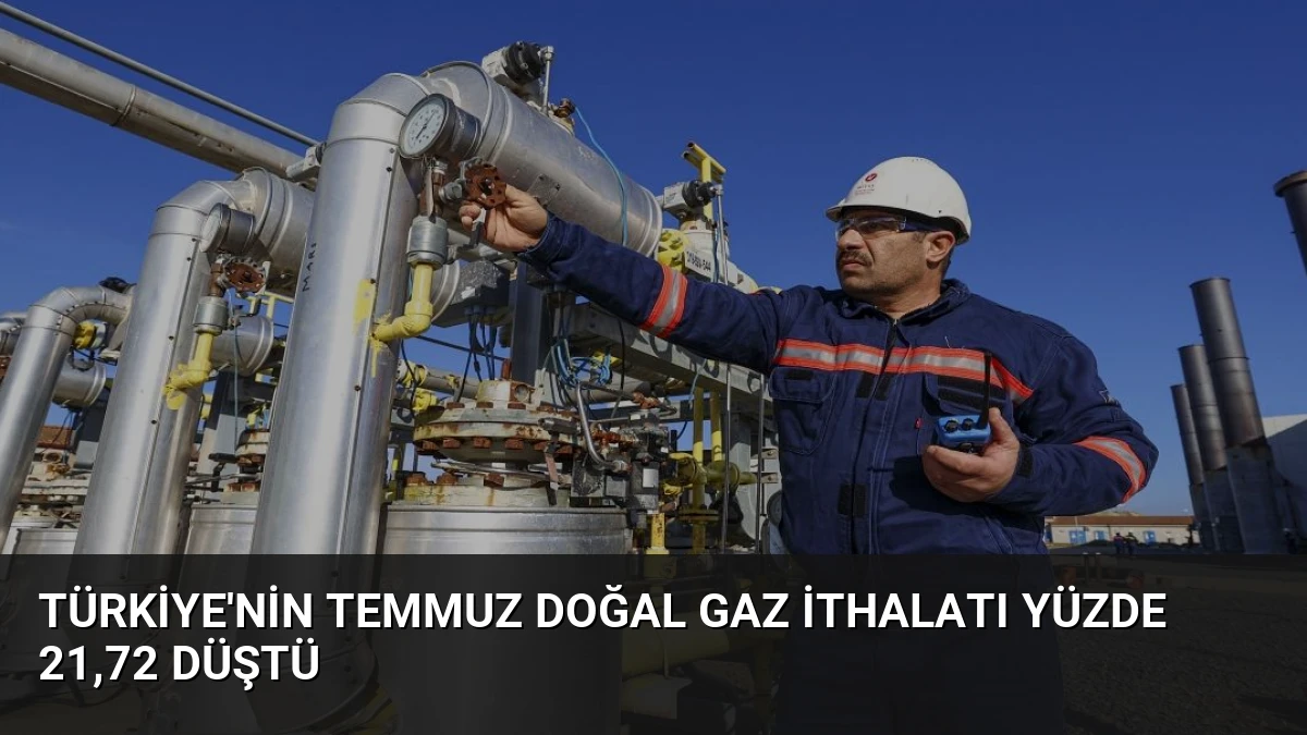 Türkiye’nin Temmuz Doğal Gaz İthalatı Yüzde 21,72 Düştü